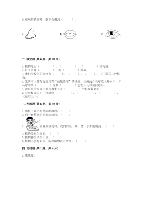 教科版科学一年级上册第一单元《植物》测试卷带答案（突破训练）.docx