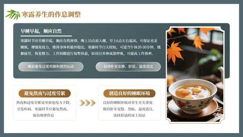 茶蓝色中国风寒露养生节气介绍PPT模板