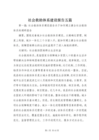 社会救助体系建设报告五篇.docx