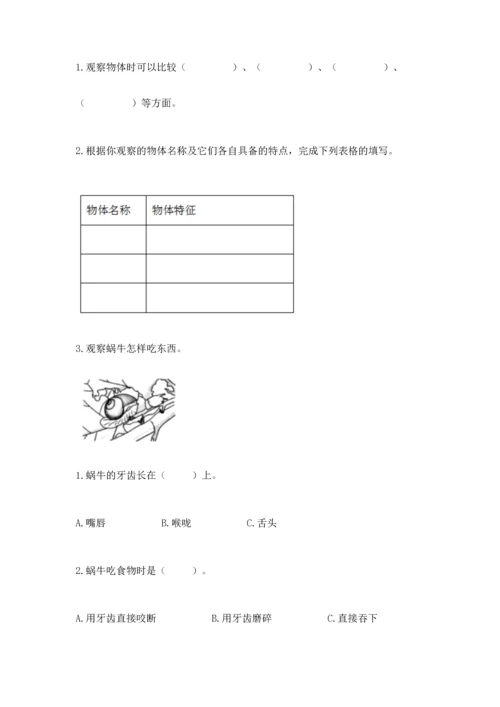 教科版一年级下册科学期末测试卷附答案（满分必刷）.docx