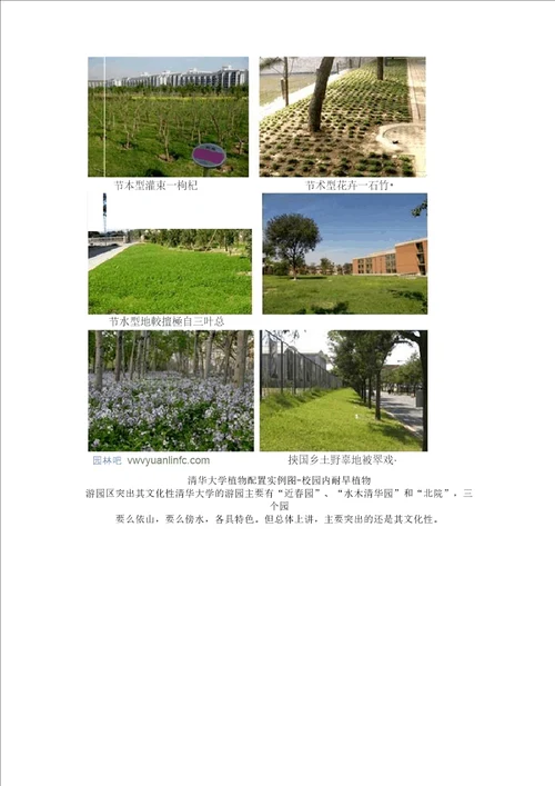 清华大学校园植物配置解析