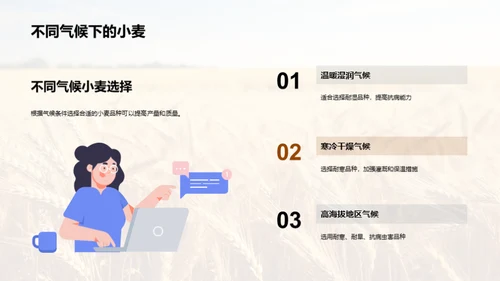 科技助力小麦丰收