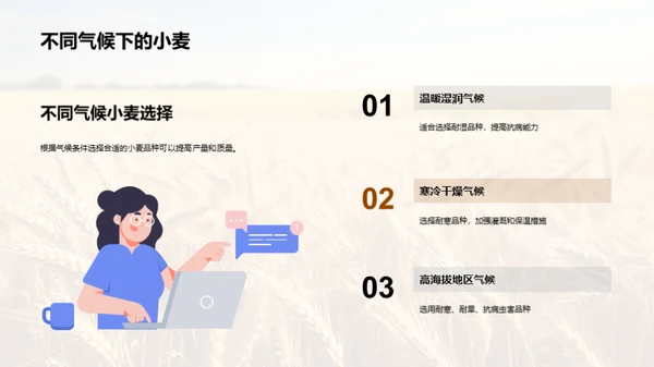 科技助力小麦丰收