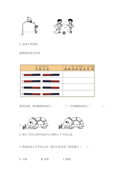 教科版小学科学二年级下册 期末测试卷【轻巧夺冠】.docx