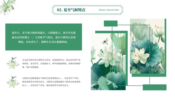 绿色简约二十四节气之夏至PPT模板