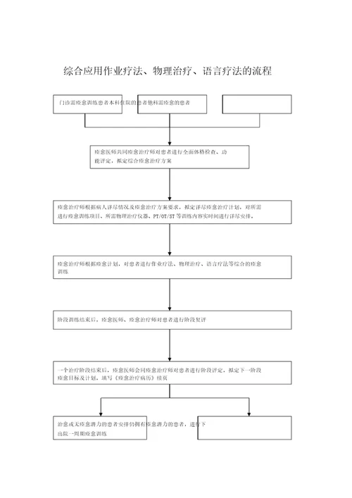 综合应用作业疗法物理治疗法语言治疗法规定及流程纲要纲要