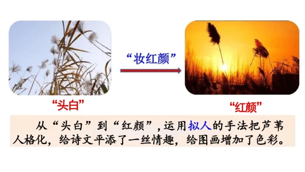 3《现代诗二首》课件