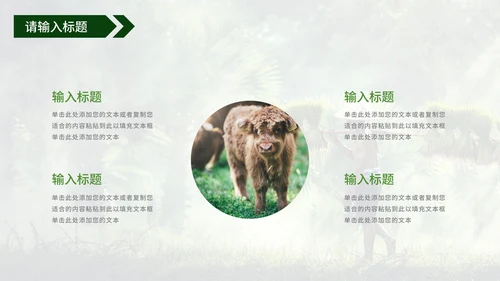 青年在家乡建设中的使命工作汇报PPT模板