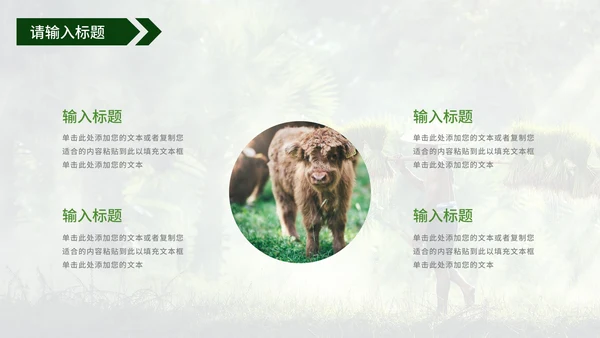 青年在家乡建设中的使命工作汇报PPT模板