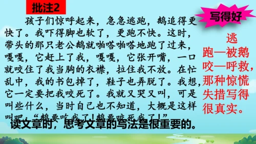 18 牛和鹅   课件