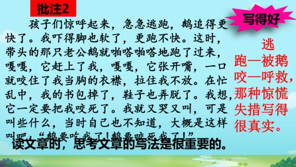 18 牛和鹅   课件