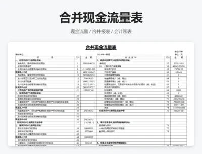 合并现金流量表