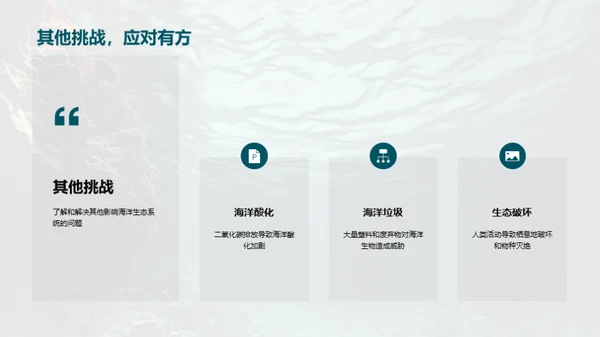 海洋守卫者的责任