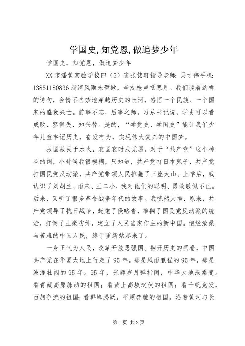 学国史,知党恩,做追梦少年 (3).docx