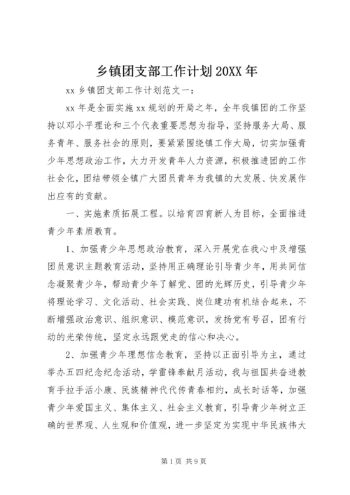 乡镇团支部工作计划某年.docx