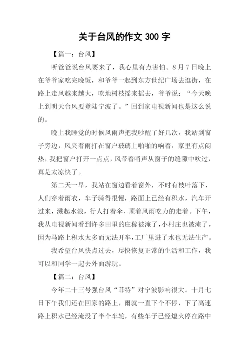 关于台风的作文300字.docx