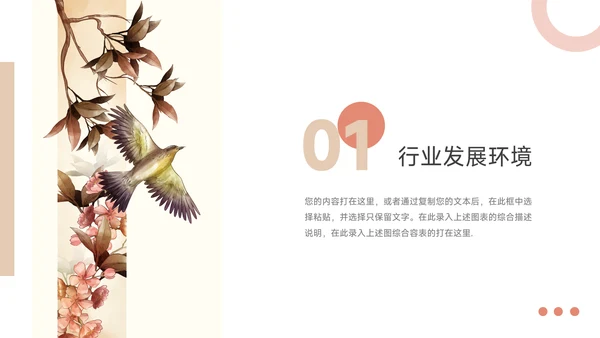 红色文艺鸟类市场调研分析PPT模板
