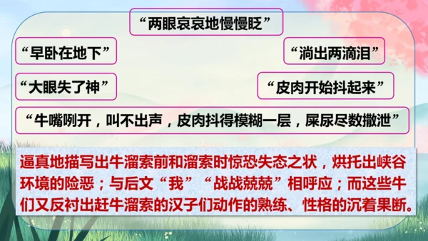 7《溜索》课件