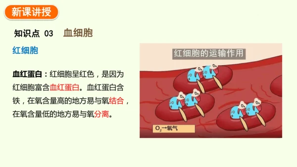 4.4.1流动的组织——血液-七年级生物下学期同步精品课件（2024人教版）(共38张PPT)