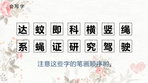6夜间飞行的秘密  课件
