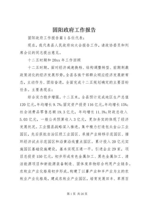 固阳政府工作报告.docx