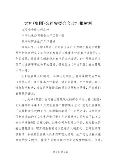 大神(集团)公司安委会会议汇报材料.docx
