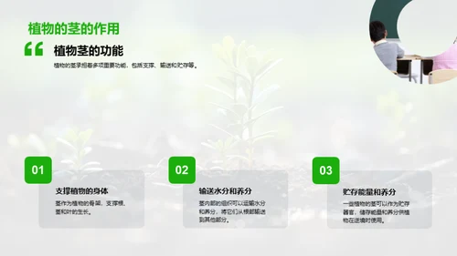 植物生长奥秘解析