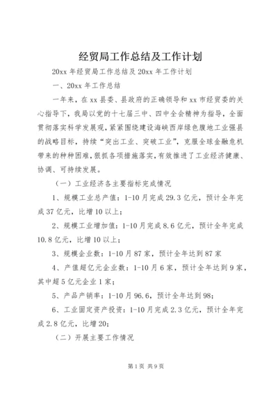 经贸局工作总结及工作计划.docx