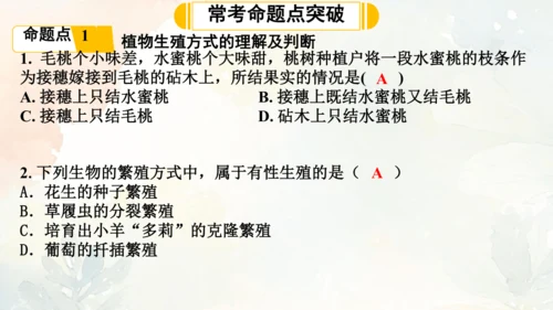 八年级下册第一章综合复习与测试课件(共16张PPT)人教版