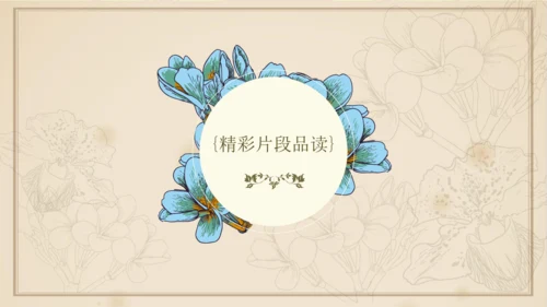 九年级下册语文第四单元整本书阅读 名著导读 《简爱》课件