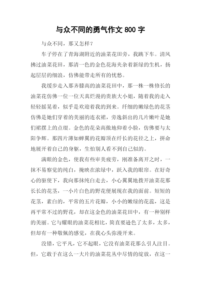 与众不同的勇气作文800字.docx