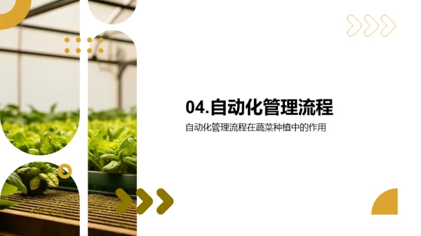 科技改变蔬菜种植