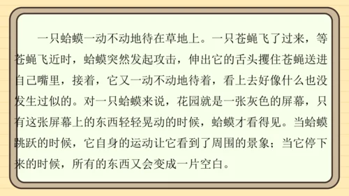 统编版语文六年级上册主题八　科学智慧 阅读与写作指导课件