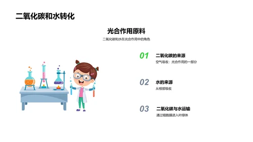 解析光合作用PPT模板