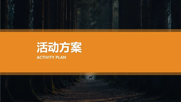 橙色画册风服装店七夕促销策划方案PPT模板