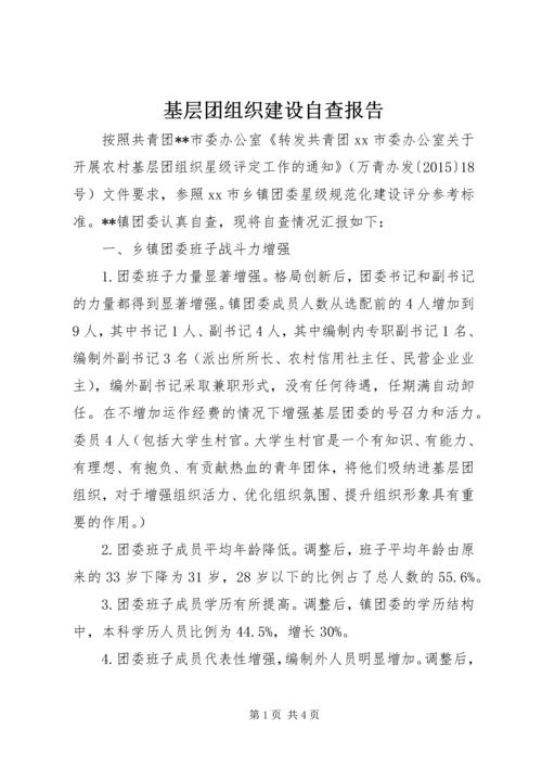 基层团组织建设自查报告 (3).docx