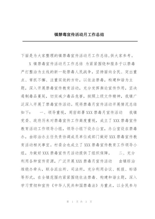 镇禁毒宣传活动月工作总结.docx