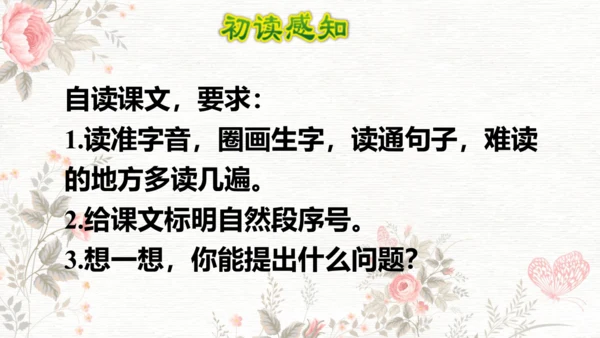 6夜间飞行的秘密  课件