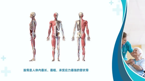 绿色实拍医疗护理培训股骨骨折护理查房培训PPT课件