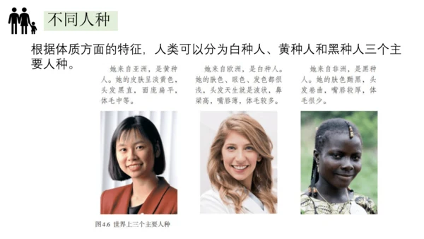 4.1人口与人种-2023-2024学年七年级地理上册同步优质课件（人教版）（共30张PPT）