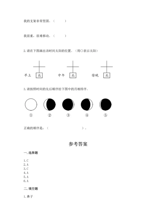 教科版二年级上册科学期末测试卷精品【典优】.docx
