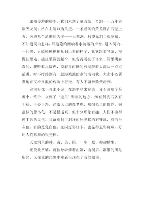 游天龙洞作文800字.docx