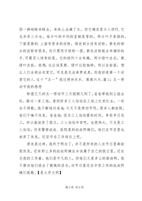 五一劳动节我的感想.docx