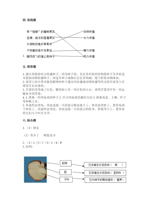 教科版四年级下册科学第一单元《植物的生长变化》测试卷精品【名师推荐】.docx