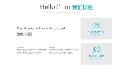 蓝色简约大方药品招标投标工作个人总结动态PPT