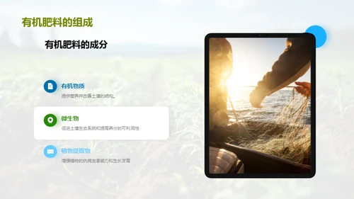有机肥料与绿色农耕