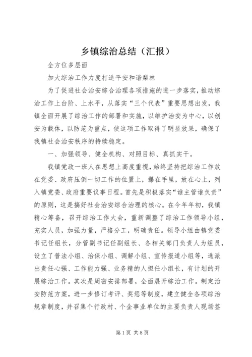 乡镇综治总结.docx