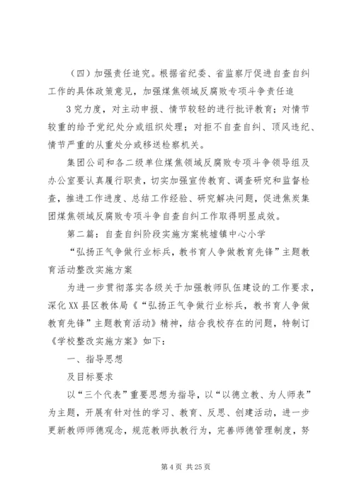 自查自纠阶段工作方案.docx