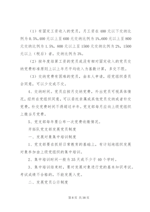 开拓队党支部管理制度.docx