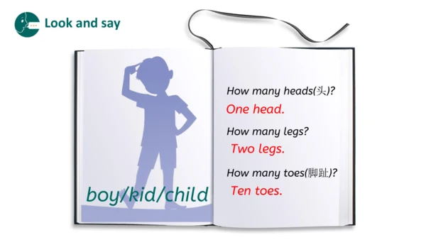 Unit 6 Useful numbers  Part B Let's learn(优课）课件（19